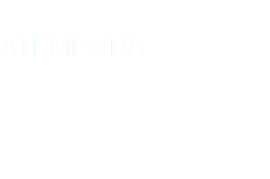 &nbsp;ATEMPORA 