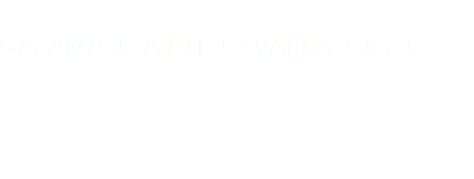 &nbsp;SALAMANCA INTUR VALLADOLID 